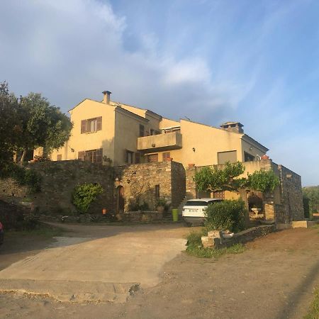 Chambres D'Hotes Casa Pruneta Saint-Florent (Corsica) Exterior foto